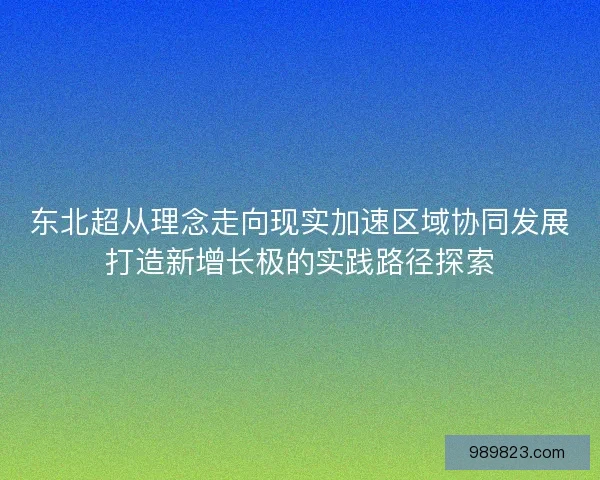 东北超从理念走向现实加速区域协同发展打造新增长极的实践路径探索